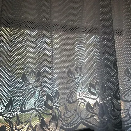 Dominis Lavdara *