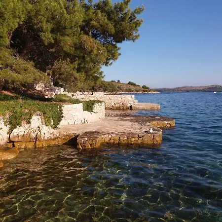 Dominis Lavdara *