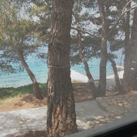 Dominis Lavdara Sali
